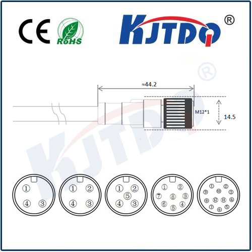 M12連接器 A型-澆鑄電纜系列 直頭